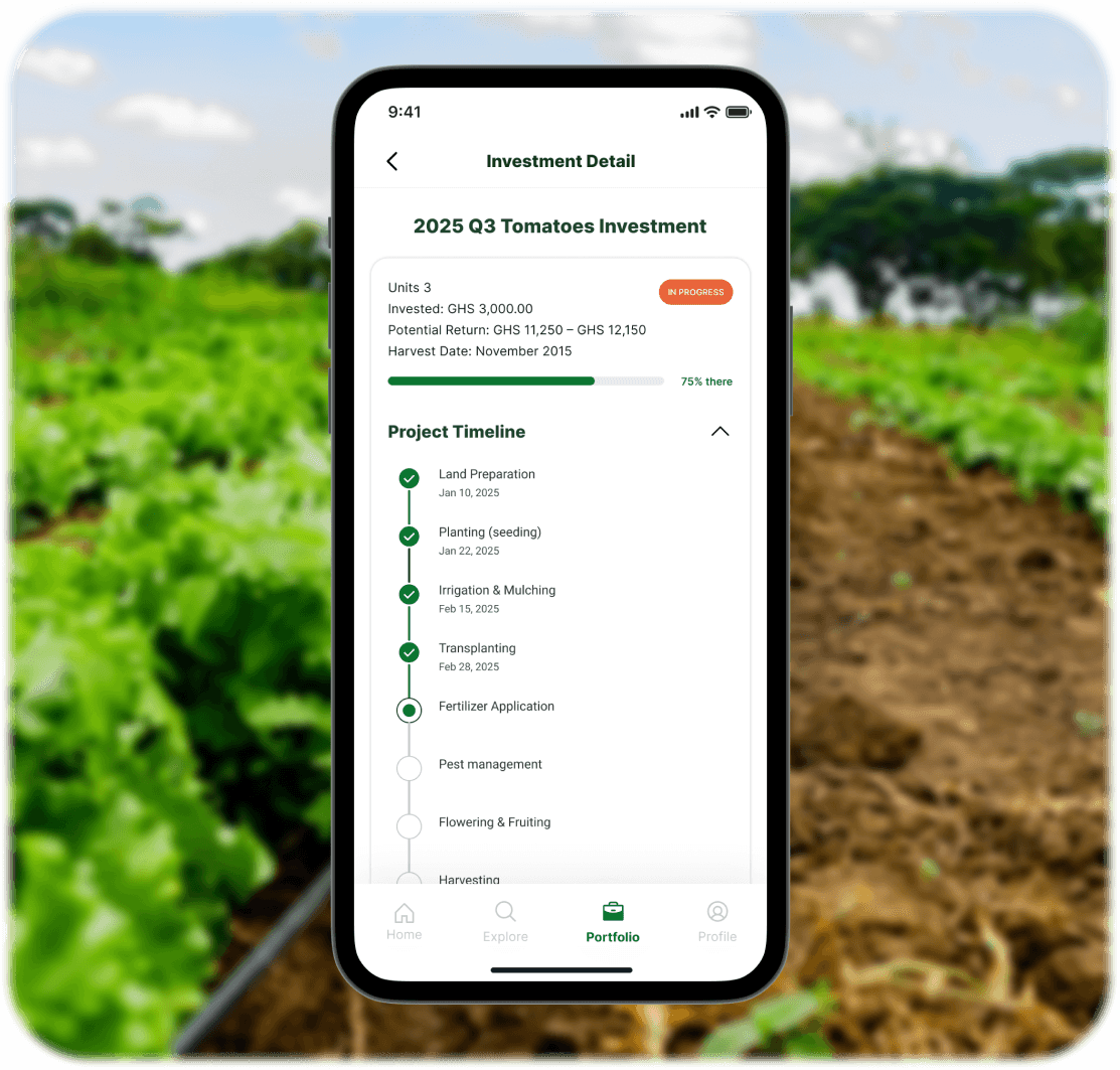 Transparency You Can Count On